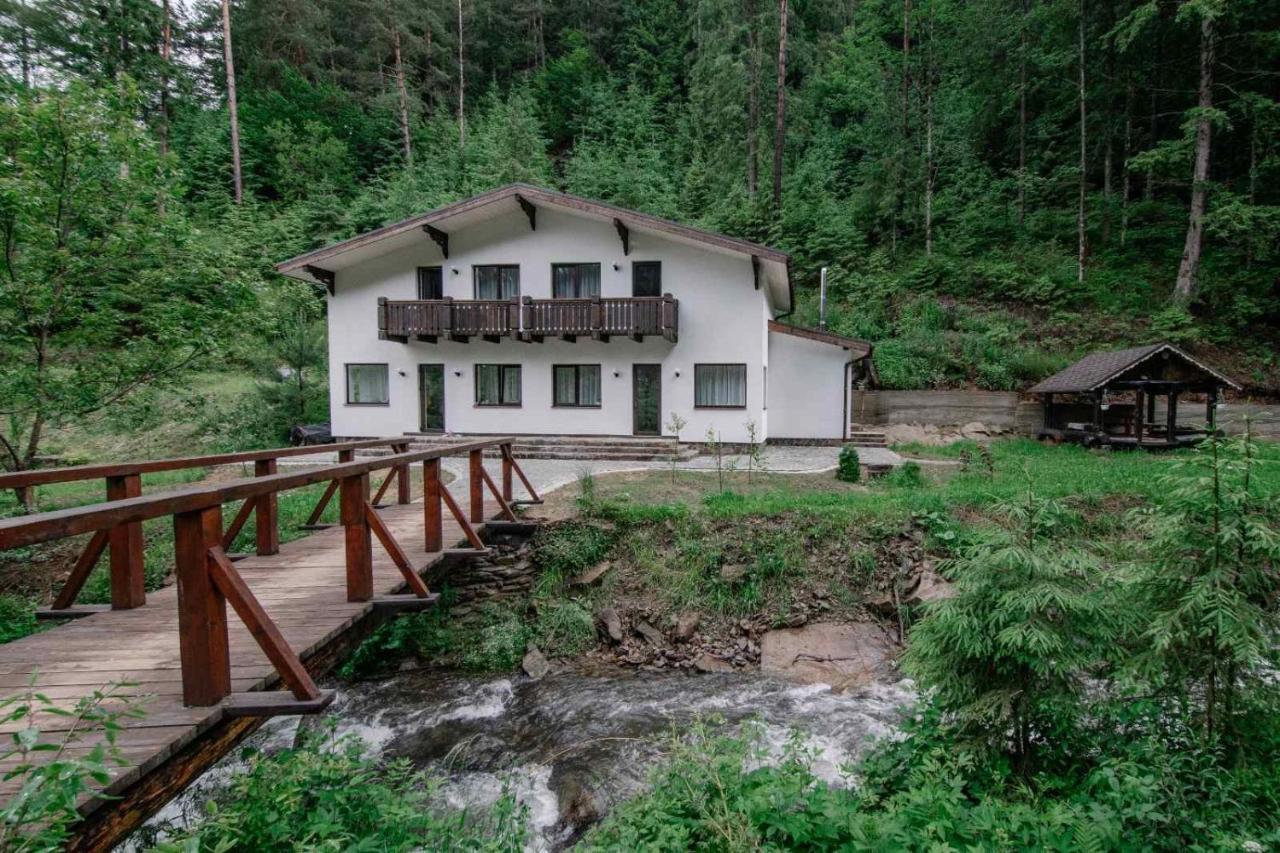Cottage house Mizhhirya  Ngoại thất bức ảnh