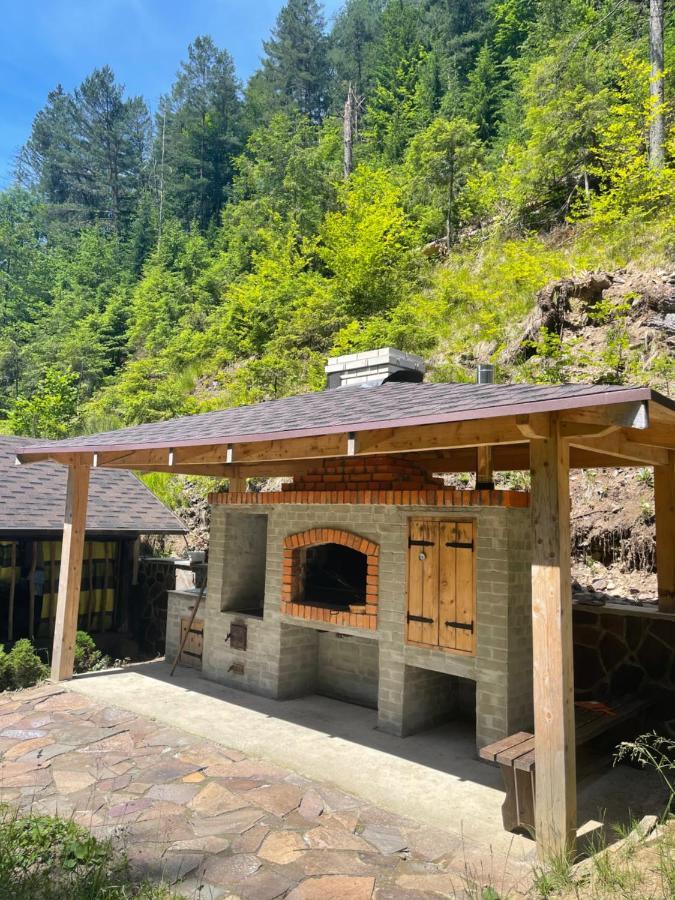 Cottage house Mizhhirya  Ngoại thất bức ảnh