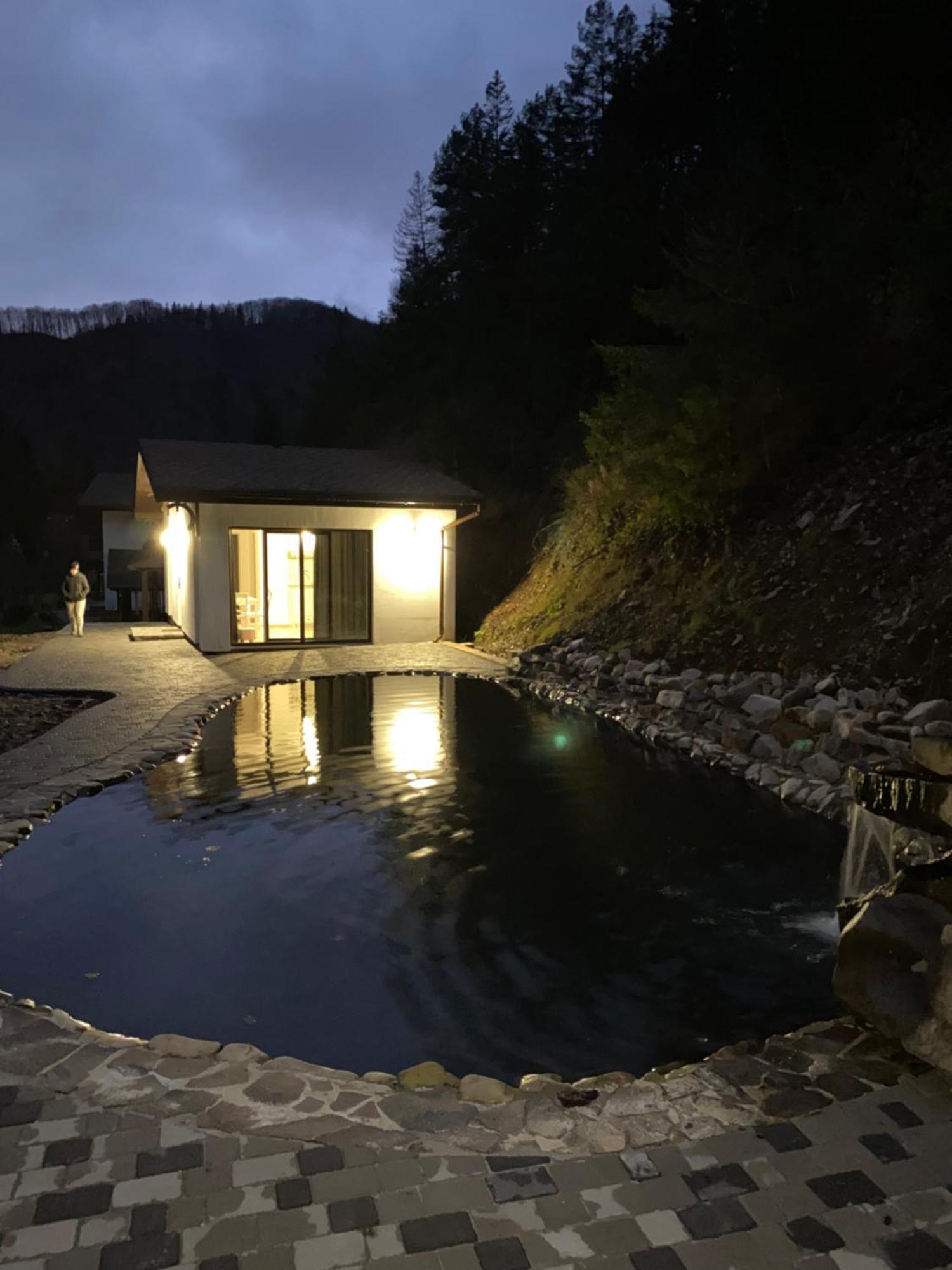 Cottage house Mizhhirya  Ngoại thất bức ảnh